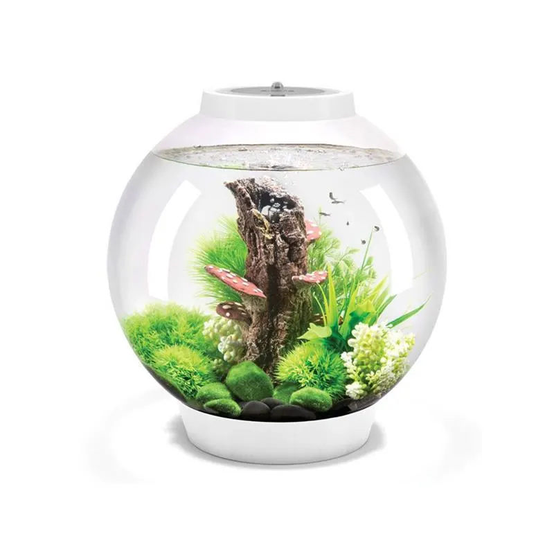 Acvariu bol Oase 30l (40x42cm) biOrb CLASSIC 30 LED Thermo Alb