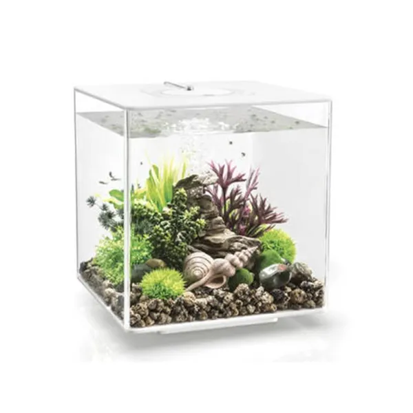Acvariu Oase 30l (32x32x34.5cm) biOrb CUBE 30 LED Transparent