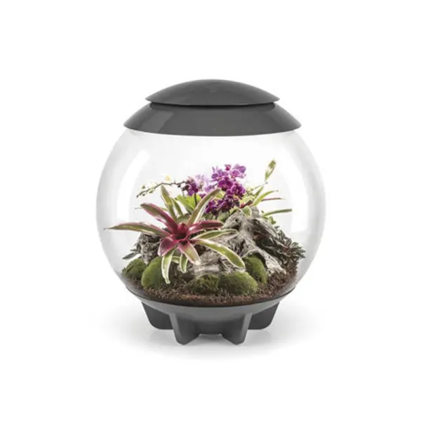 Acvariu Oase biOrb AIR 60 gri