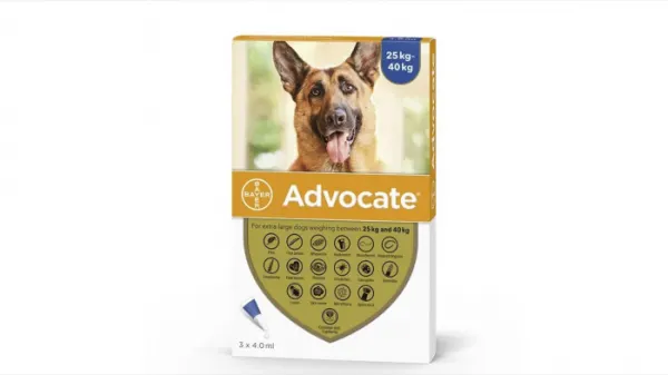 Advocate 400 Caine (  25 kg), 3 pipete
