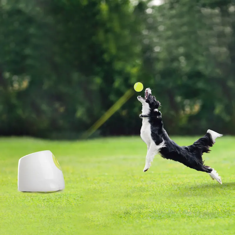 All For Paws, Mini Lansator de Mingi pentru Caini