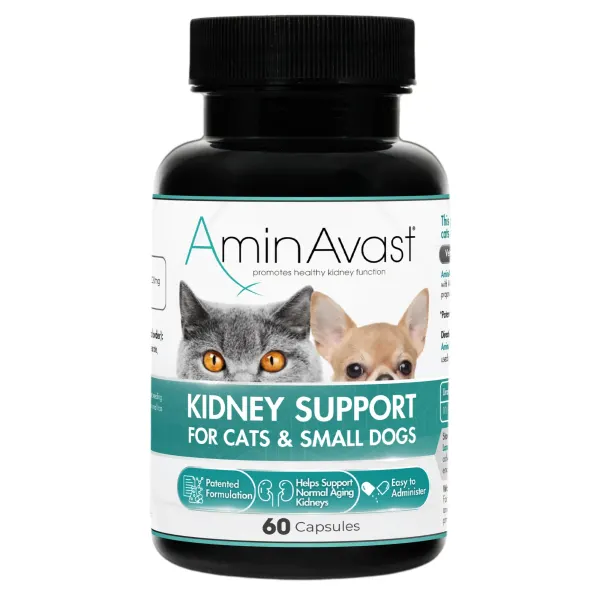 Aminavast Cat & Small Dogs, 300 mg/ 60 capsule