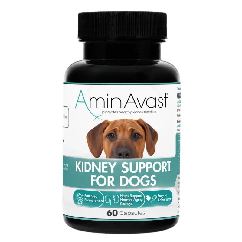 Aminavast Dog, 1000 mg/ 60 capsule