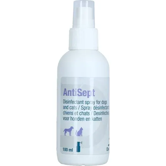 Antisept, 100 ml