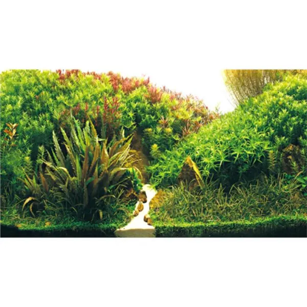 Background dublu Hobby Planted River si Green Rocks