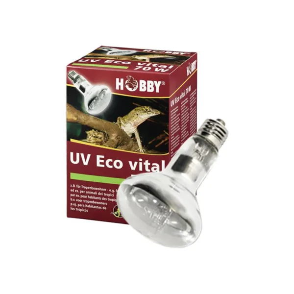 Bec Hobby UV Eco vital 70W