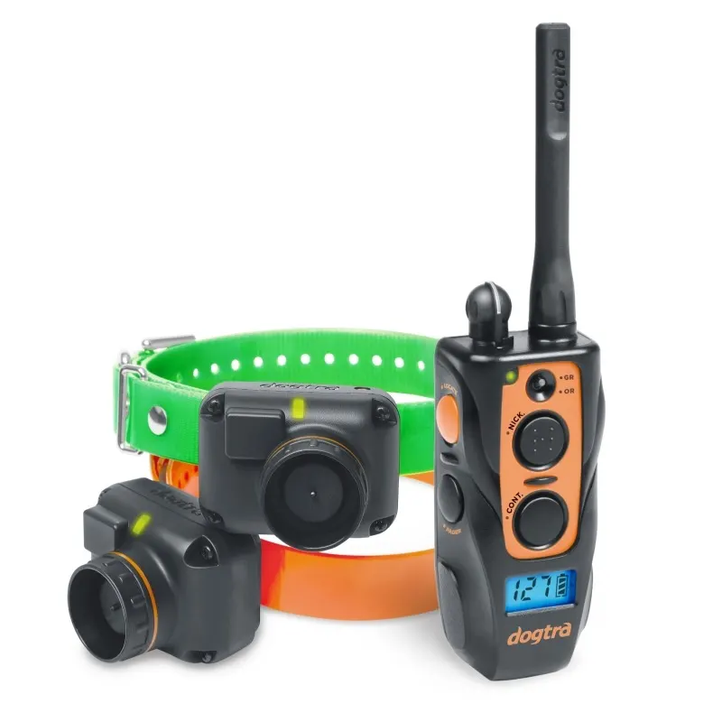 Beeper si Zgarda dresaj Dogtra 2600TB - 2 câini