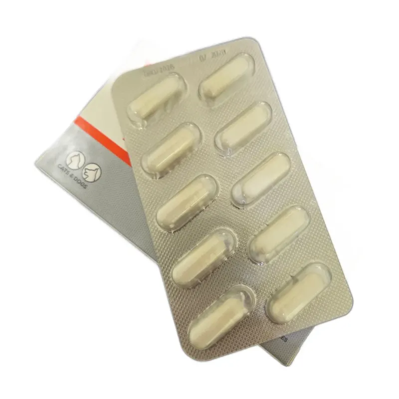 BioProtect, capsule probiotice pentru caini si pisici