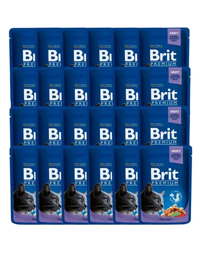 BRIT Premium Cat Adult Cod Fish cod in sos plic hrana pentru pisici 24x100g