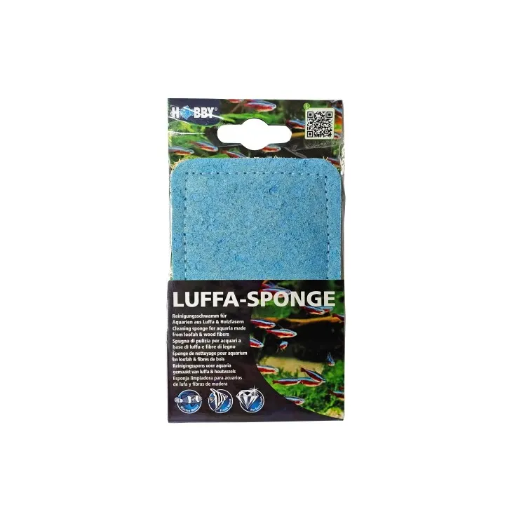 Burete ecologic curatare sticla si decor din Lufa Hobby