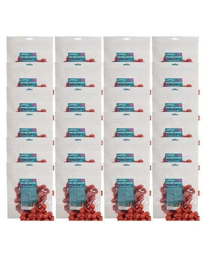 CHRUP&GO Mini os înnodat 24x500 g recompense pentru câini, cu piept de rață