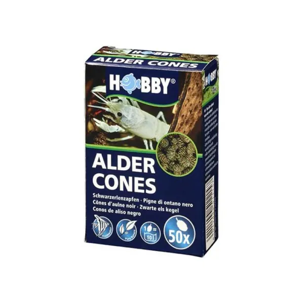Conuri de arin Hobby