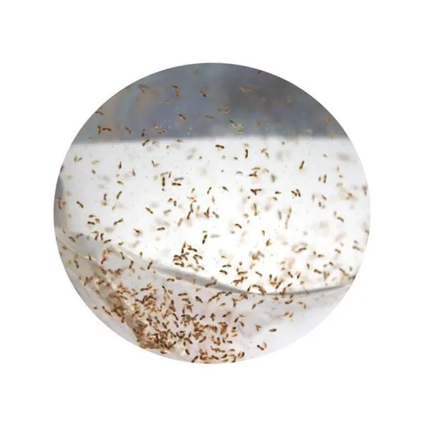 Copepode marine vii 25x90ml