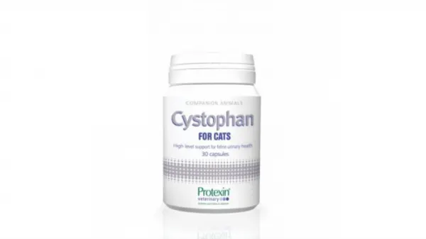 CYSTOPHAN pentru cats pisici - 30 capsule