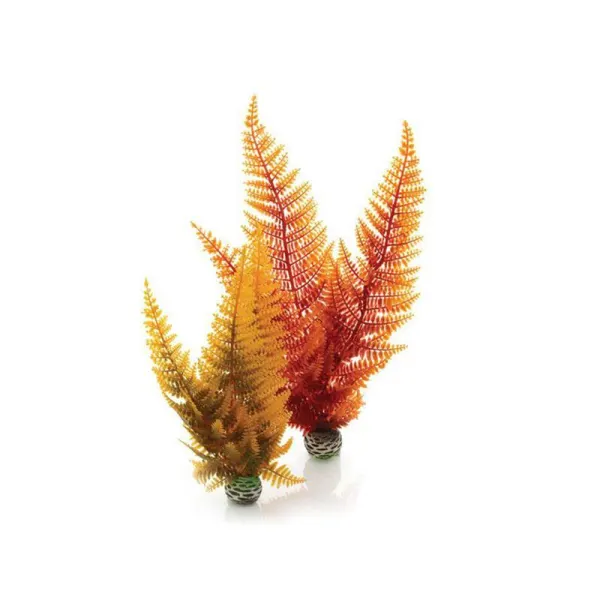 Decor feriga Oase biOrb Aquatic autumn fern set 2 bucati