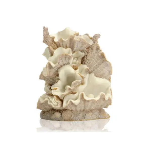 Decor grup scoici Oase biOrb Clamshell M