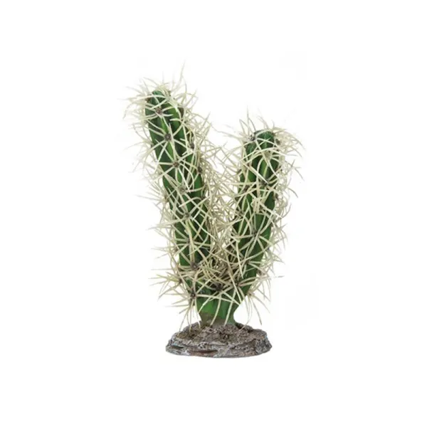 Decor Hobby Cactus Simpson