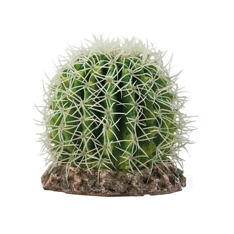 Decor Hobby Cactus Sonora M