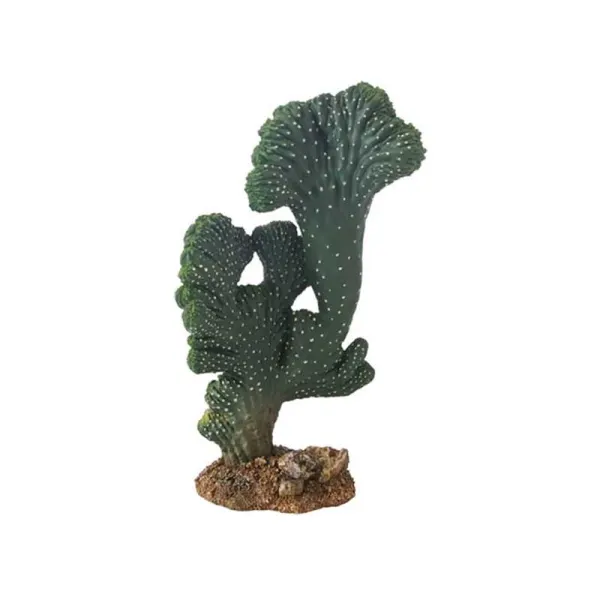 Decor Hobby Cactus Victoria 2