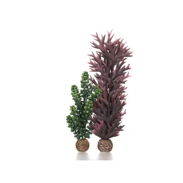 Decor Oase biOrb alge si perle verde-oliv