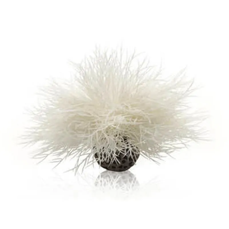 Decor Oase biOrb Aquatic sea lily alb