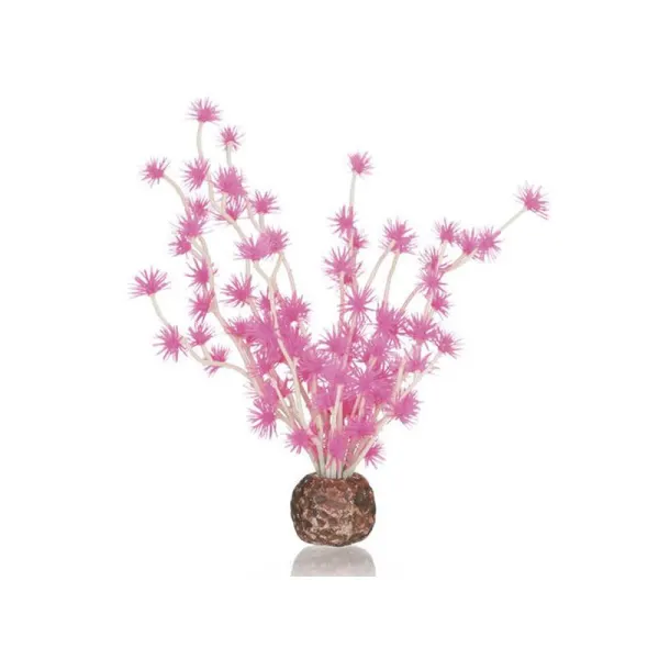 Decor Oase biOrb Bonsai ball roz