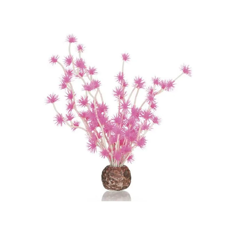Decor Oase biOrb Bonsai ball roz