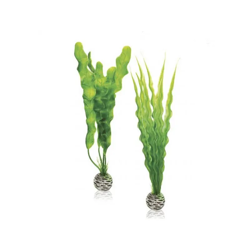 Decor Oase biOrb Easy set plante verzi L