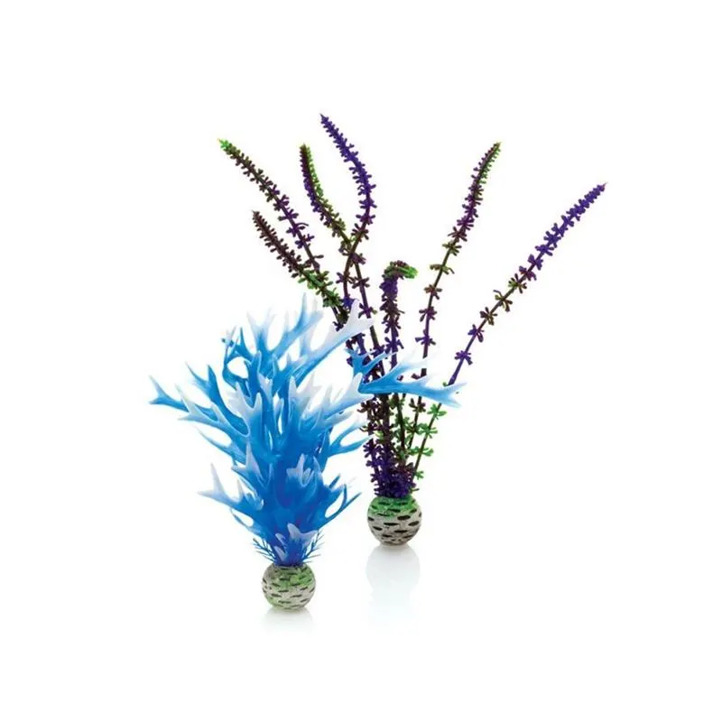 Decor Oase biOrb Plant set albastru &amp; mov M