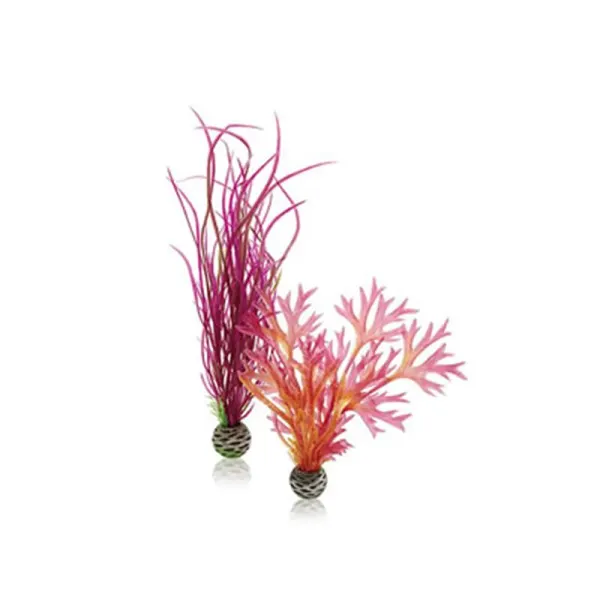 Decor Oase biOrb Plant set rosu &amp; roz M