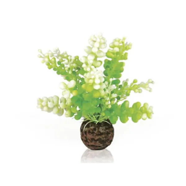 Decor planta Oase biOrb Aquatic Caulerpa verde