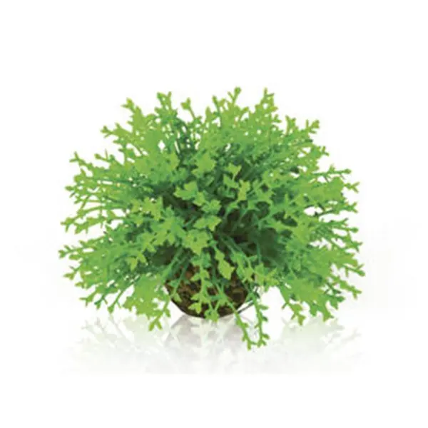 Decor planta Oase biOrb Flower ball verde