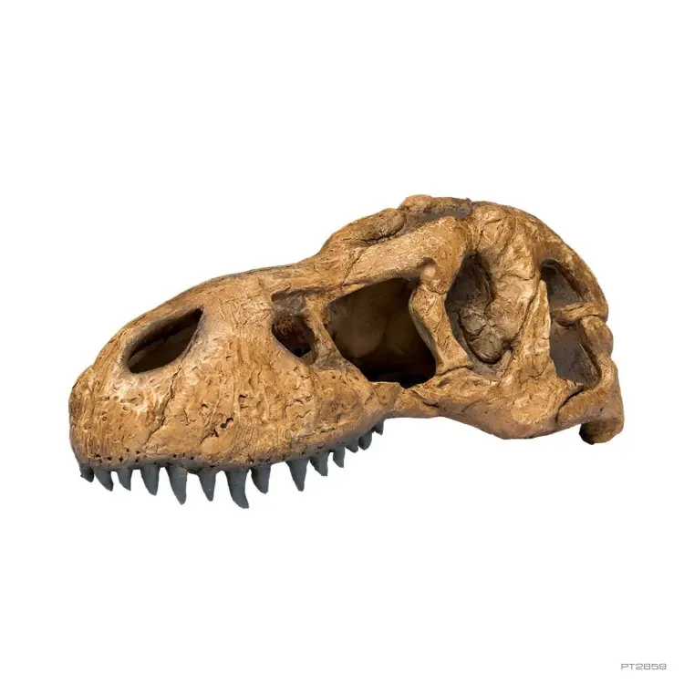 Decor terariu ExoTerra T-Rex Skull