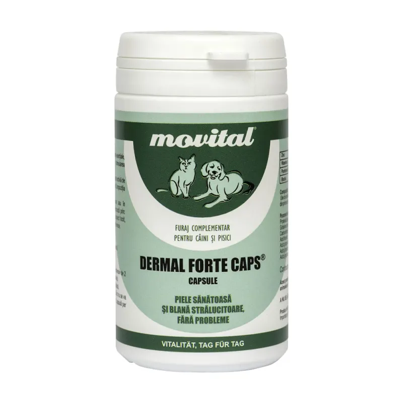 Dermal forte caps 100tb (40gr)