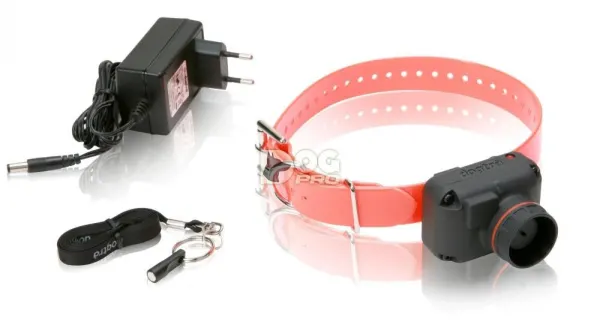 Dogtra STB-Hawk - Beeper frecventa inalta