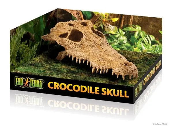 Exo Terra Decor Crocodile Skull PT2856