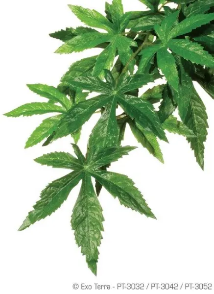 EXO TERRA PLANTA ABUTILON MEDIUM 55 CM PT3042
