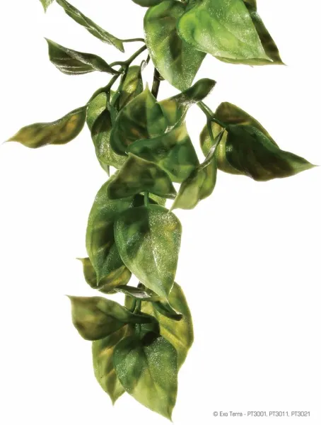 Exo Terra Planta Ampallo Small 32 CM PT3001