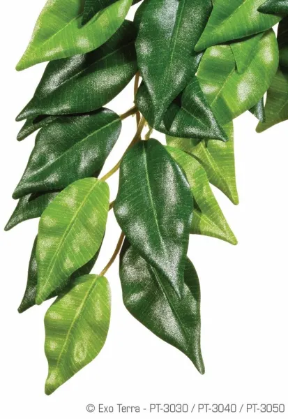 Exo Terra Planta Ficus Large 70 CM PT3050