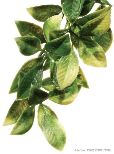 EXO TERRA PLANTA MANDARIN LARGE 70 CM PT3022