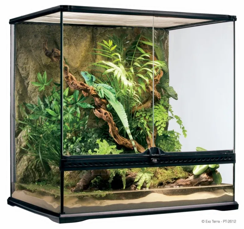 Exo Terra Terariu Sticla 60X45X60 cm PT2612
