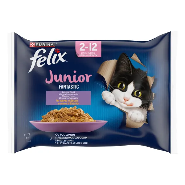 Felix Fantastic Junior Multipack, Pui in Aspic, 4 x 85 g