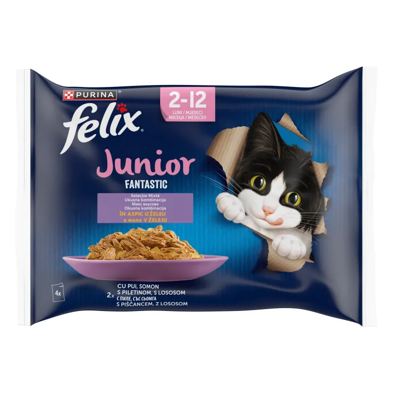 Felix Fantastic Junior Multipack, Pui in Aspic, 4 x 85 g