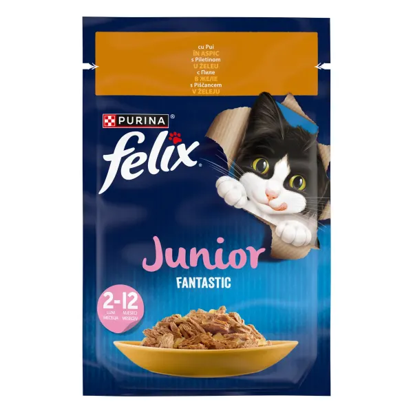 Felix Fantastic Junior, Pui, 85 g