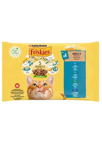 Friskies Cat Plic Somon 4 X 85 g