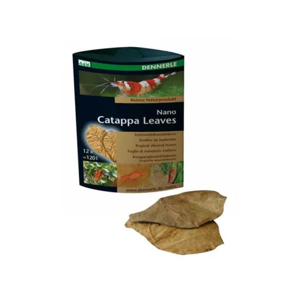 Frunze migdal indian Dennerle Nano Catappa Leaves