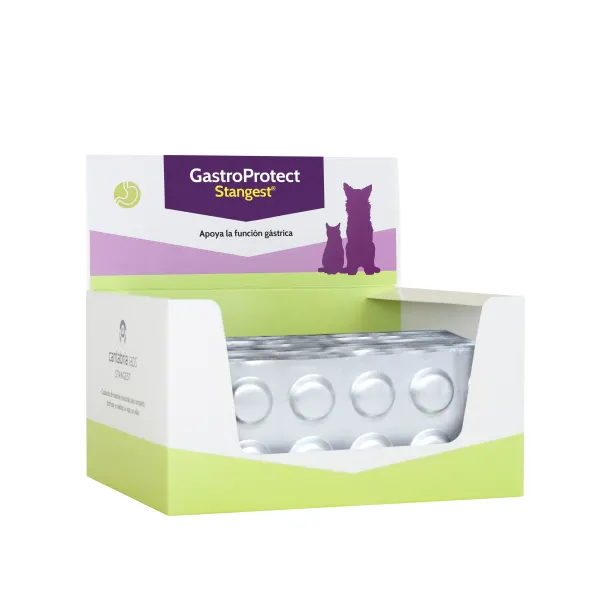 Gastroprotect, STANGEST, Blister, Pachet 2 X 10 tablete