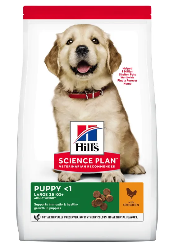 Hrana uscata caini, Hill's Science Plan Canine Puppy Large Breed Chicken, 14.5 kg