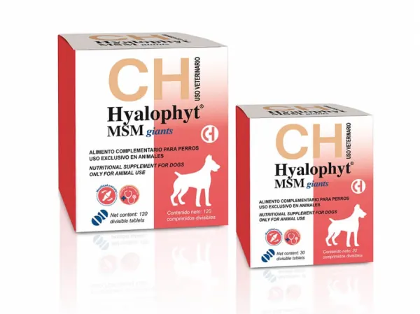 Hyalophyt MSM Giants - Supliment pentru articulatii - 120cpr.
