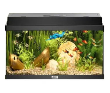 Juwel Acvariu Led Primo 110 Negru 2.0